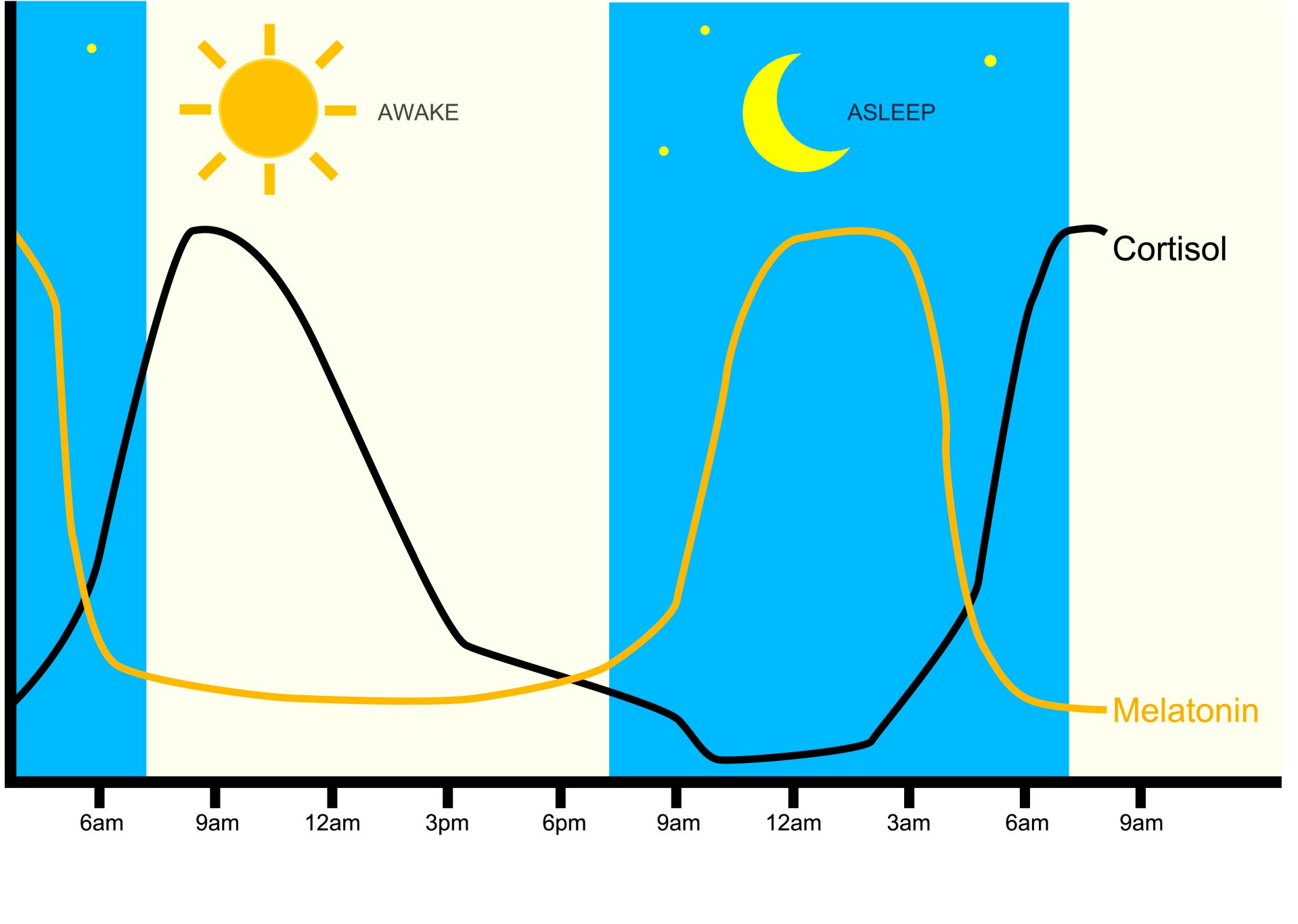 benefits of melatonin to your health